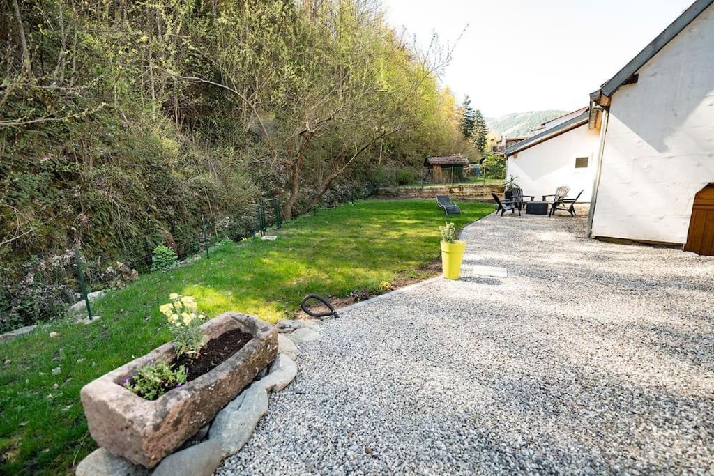 Gîte de charme refait à neuf, à Rimbach en Alsace. Extérieur photo